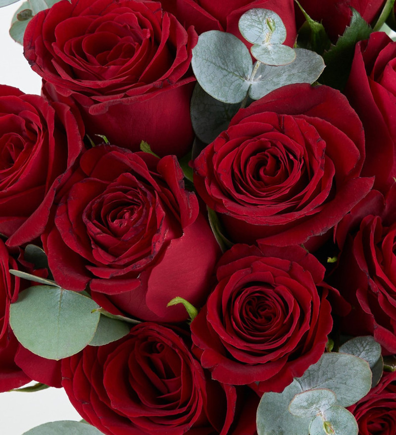 21'li Kırmızı Gül - Paşabahçe Vazoda