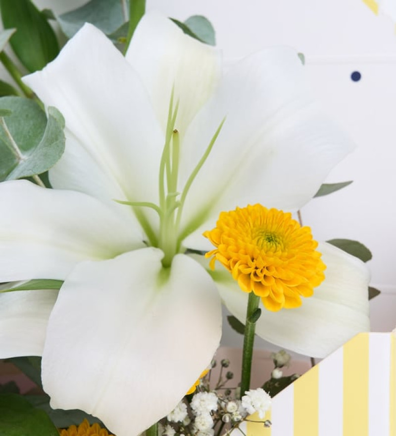 Sarı Çizgili Zarfta Beyaz Lilyum ve Sarı Krizantem