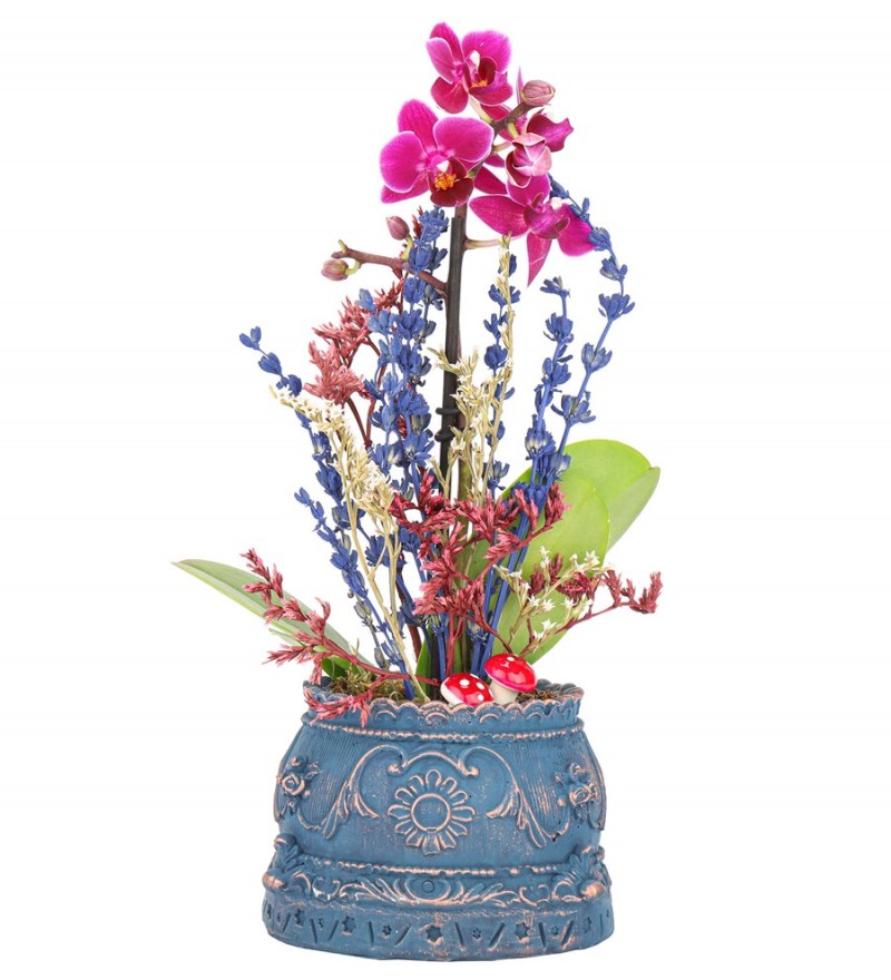 Trevi Barok Serisi Tek Dal Mini Mor Orkide Tasarım